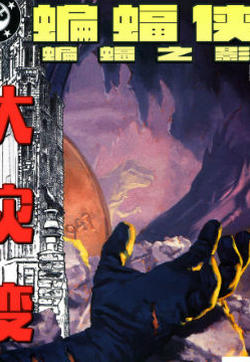 蝙蝠侠：蝙蝠之影的封面
