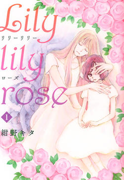 Lily lily rose的封面图
