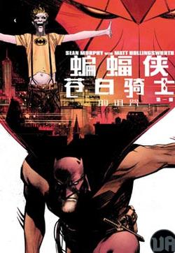 蝙蝠侠-苍白骑士的诅咒的封面图