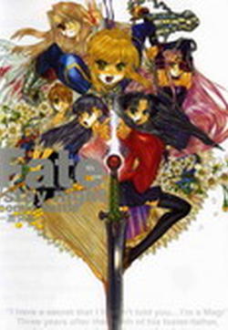 Fate/stay night 激突篇的封面图