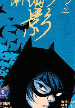 蝙蝠少女之影的封面