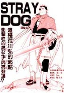 STRAY DOG的封面图