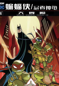 蝙蝠侠/忍者神龟：2016大冒险的封面图