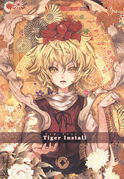 Tiger Install的封面图