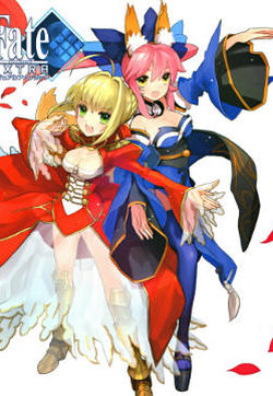 Fate/EXTRA画集的封面图
