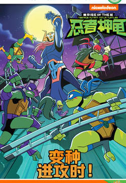 忍者神龟崛起：阶段阅读的封面图