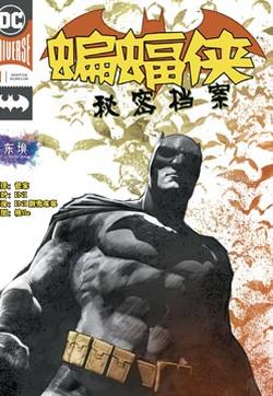 蝙蝠侠：秘密档案的封面