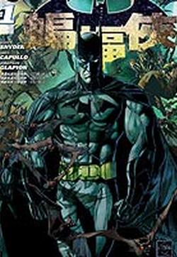新52蝙蝠侠的封面