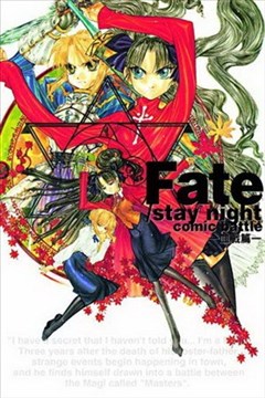Fate/stay night comic battle血战篇的封面
