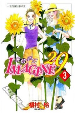 爱情梦幻IMAGINE29的封面