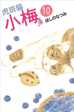 虎斑猫小梅的封面图