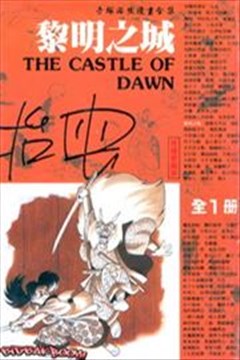 黎明之城（The Castle Of Dawn）的封面