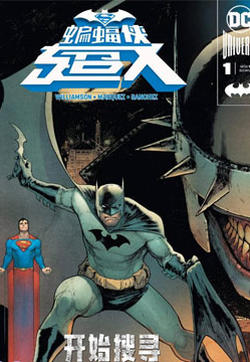 蝙蝠侠超人v2的封面